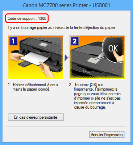 figure : Écran de message d'erreur